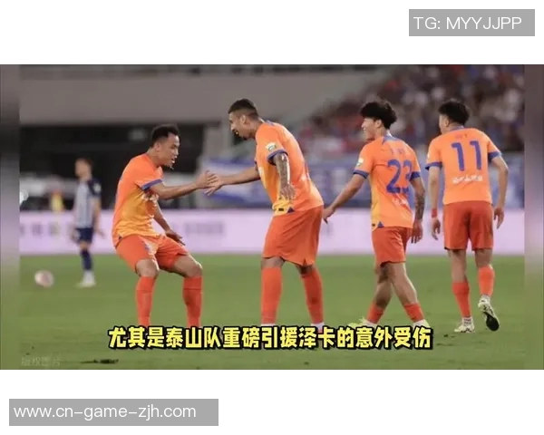 鲁能重磅引援瑞典国脚锋霸加盟曾效力豪门球队助力新赛季